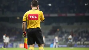 Assistente de arbitragem de costas com bandeira em um estádio