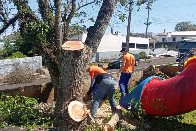 Trabalhadores de uniforme laranja cortando o tronco de uma árvore derrubada