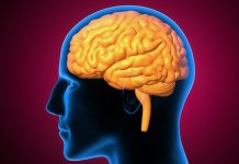 Surdez precoce muda como o cérebro distribui a visão periférica surdez-precoce-muda-como-o-cerebro-distribui-a-visao-periferica
